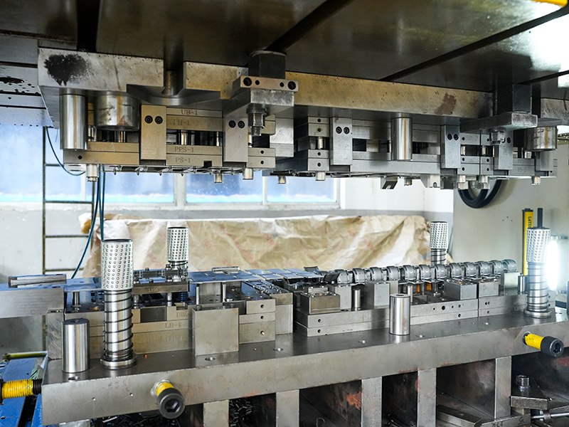 Anyagcsík és penész